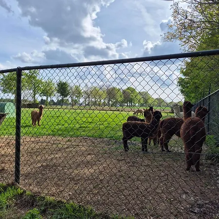 Boerderij Pepinushof - Blokhut Maria-Hoop
