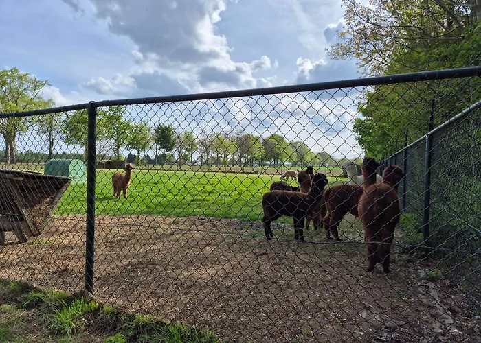 Boerderij Pepinushof - Blokhut Maria-Hoop